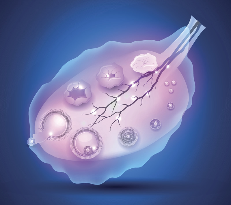 郑州卵巢早衰试管医院排行榜收录6家医院！附2025年、费用详情、必备条件及就医全流程指南